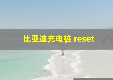 比亚迪充电桩 reset